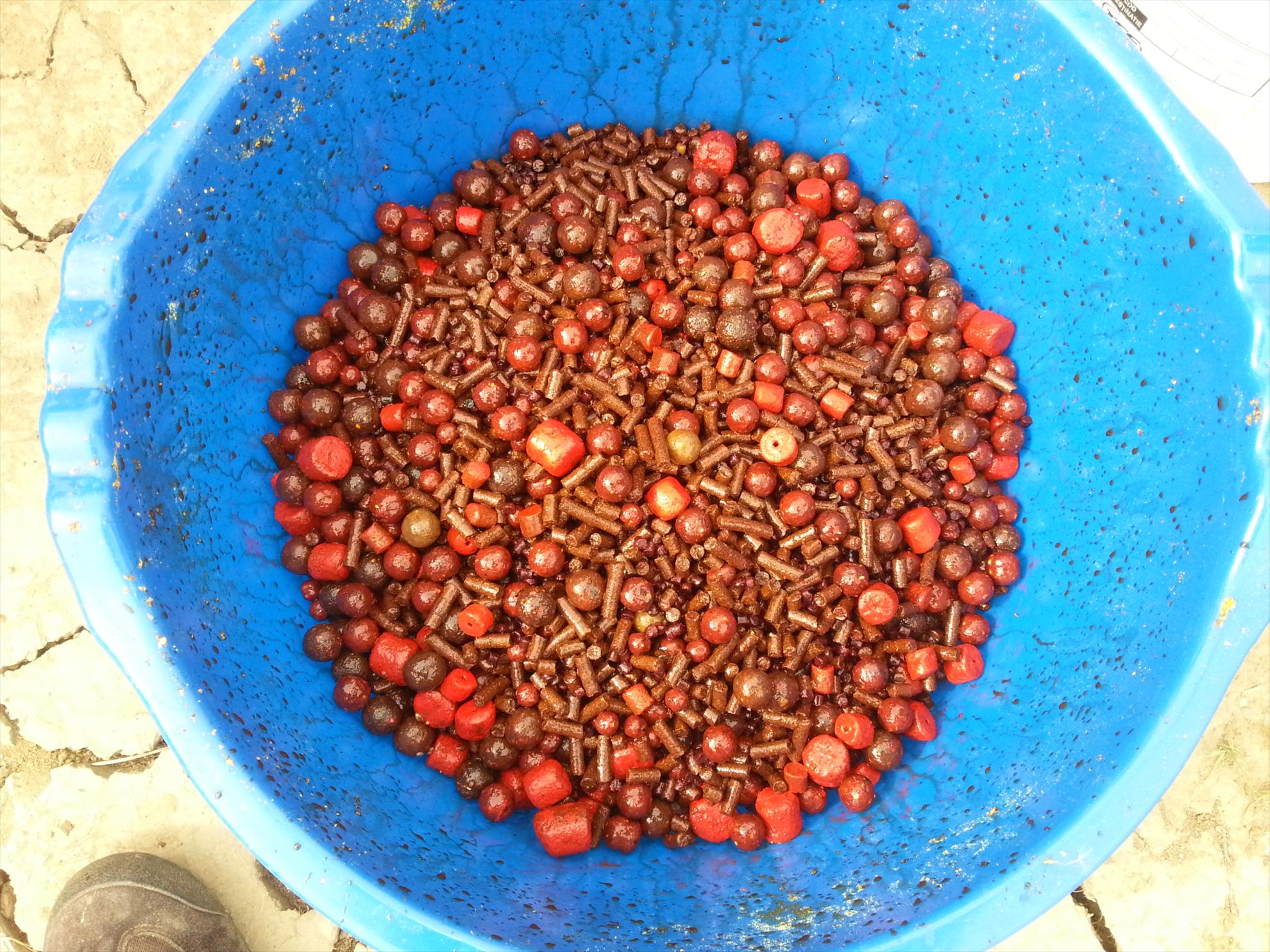 Harsany 1 - 5 mai. - 20130502153616.jpg